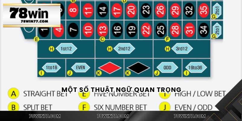 Một số thuật ngữ quan trọng
