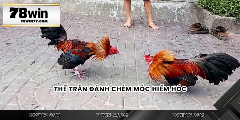 Thế trận đánh chém móc hiểm hóc