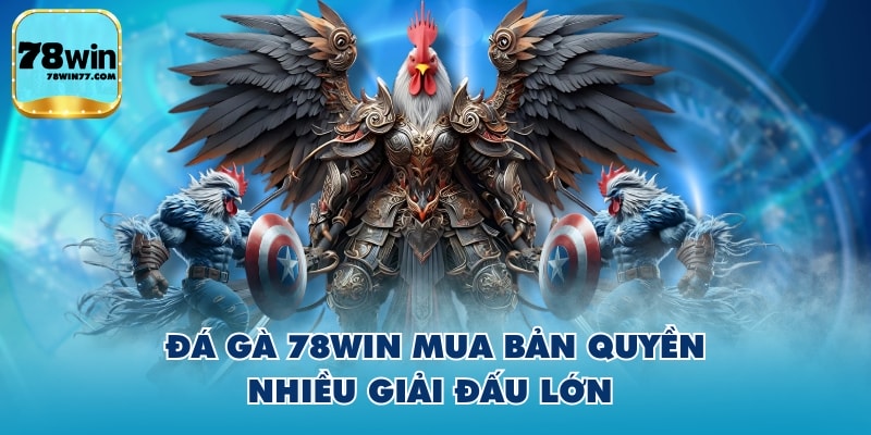 Đá gà 78WIN mua bản quyền nhiều giải đấu lớn 
