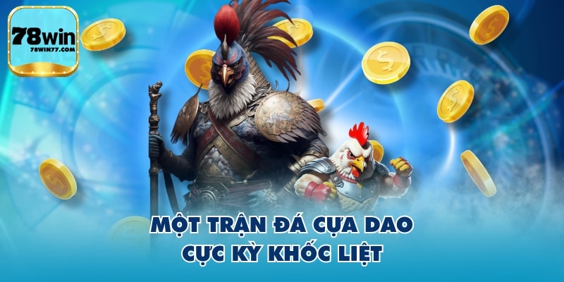 Một trận đá cựa dao cực kỳ khốc liệt